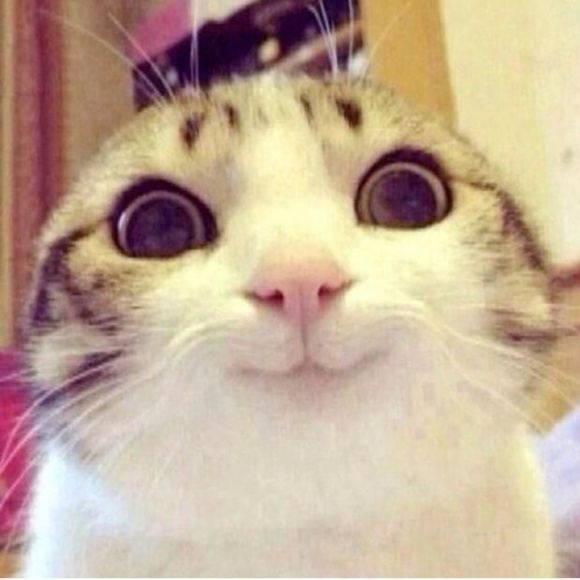 Meet your Posher, B - Picture 1 of 1